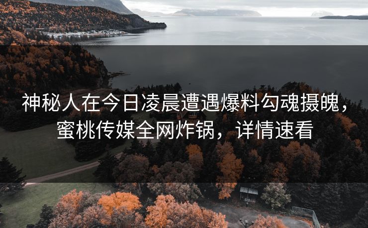 神秘人在今日凌晨遭遇爆料勾魂摄魄,蜜桃传媒全网炸锅,详情速看
