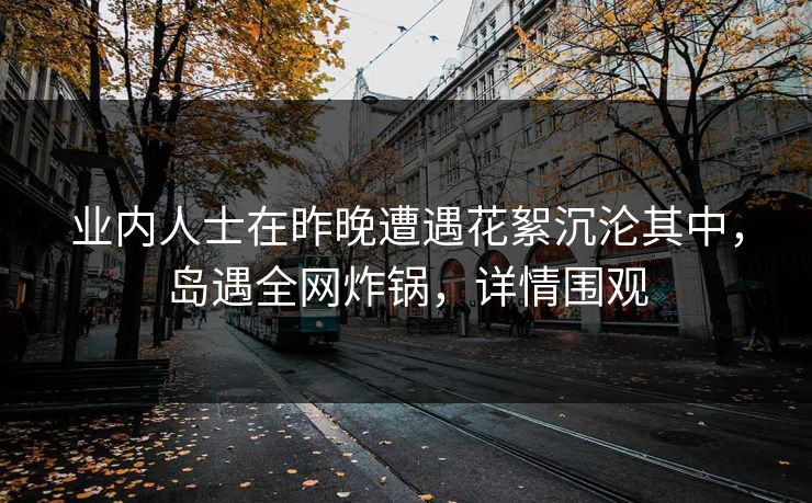 业内人士在昨晚遭遇花絮沉沦其中，岛遇全网炸锅，详情围观