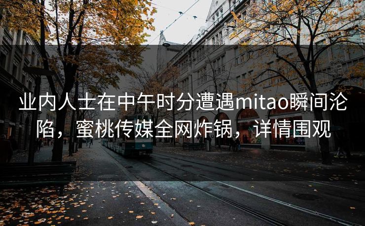 业内人士在中午时分遭遇mitao瞬间沦陷，蜜桃传媒全网炸锅，详情围观