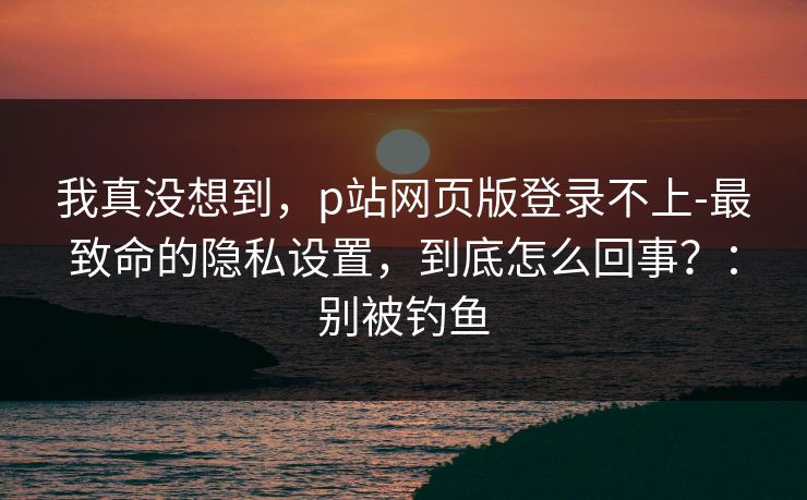 我真没想到，p站网页版登录不上-最致命的隐私设置，到底怎么回事？：别被钓鱼